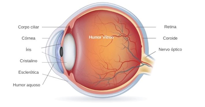 Retina e Vitreo - Clínica de Olhos Nações